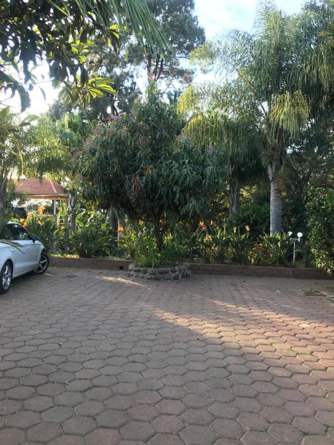 Hotel El Mirador Y Jardin Tlayacapan Eksteriør billede
